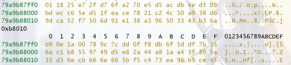 image-20240219200703480