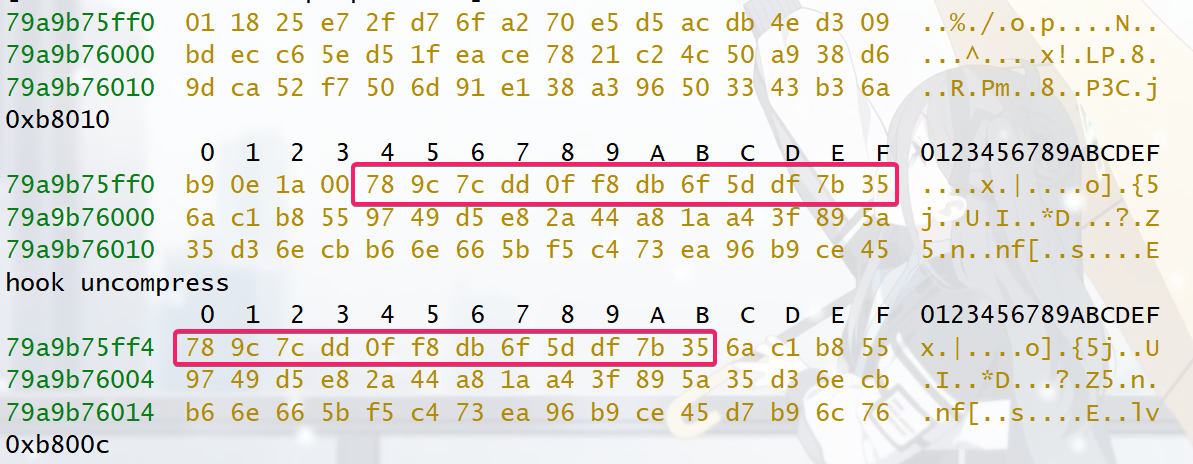 image-20240219202037098