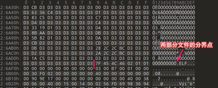 image-20240220013502056